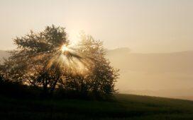 Die Perle am Muehlenteich - Ihr liebevolles Hotel-Restaurant in Hagenow