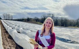 Herzogtum Lauenburg: Startschuss für die landesweite Spargelsaison