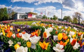 Blütenstarker egapark-Start am 19. März 2022