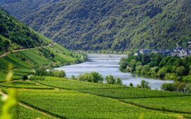 Direktbuchungen für Ihr Hotel maximieren Erfolgreich4you