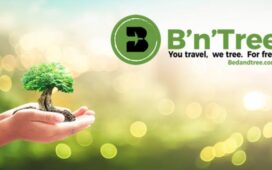 Zum Tag des Baumes und darüber hinaus setzen Reisende ein „grünes“ Zeichen, indem sie über die gemeinsame Kooperationsseite von Best Western Hotels und B'n'Tree buchen.