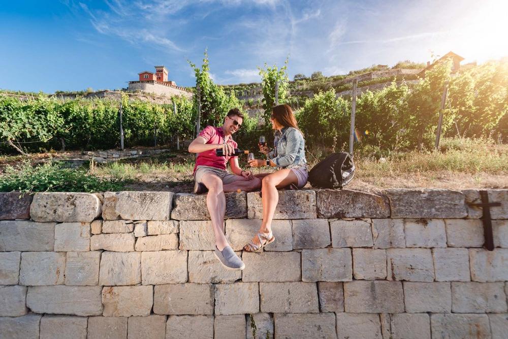 Saale-Unstrut startet in den Weinsommer