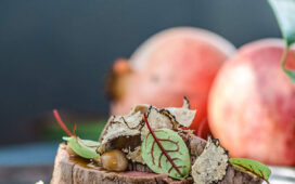 Exklusives Catering vom Sonnenhof