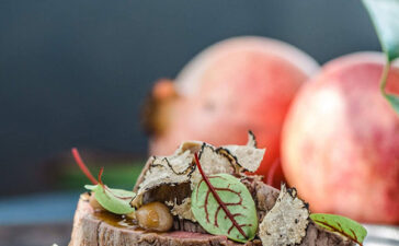 Exklusives Catering vom Sonnenhof