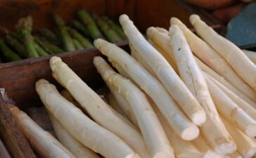 Spargel kaufen