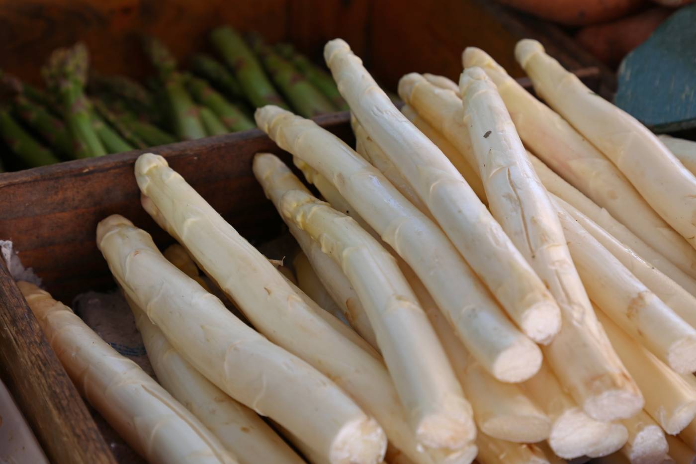 Spargel kaufen