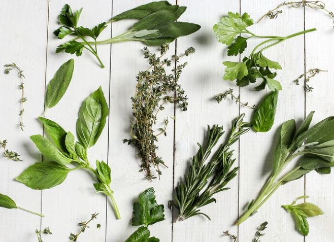 Kräuter mit viel Vitamine