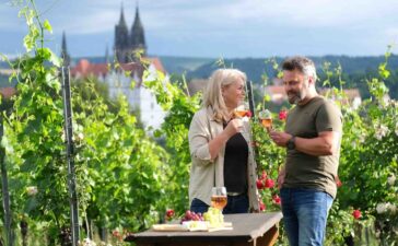 Dresden Elbland Winzer