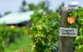 Cape May Winery