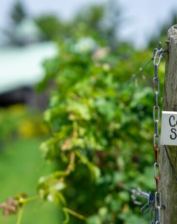 Cape May Winery