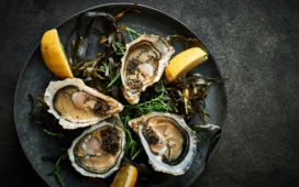 Angerichteter Teller mit vier Austern. Copyright: Transgourmet Deutschland GmbH & Co. OHG