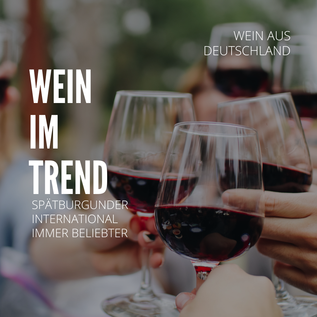 Spätburgunder International im Trend