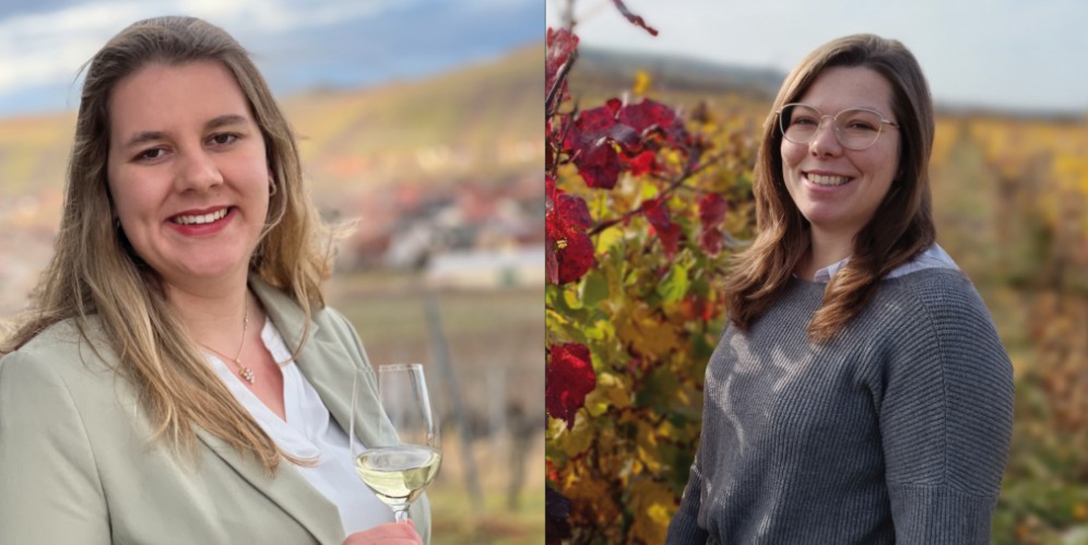 Wahl der 67. Fränkischen Weinkönigin