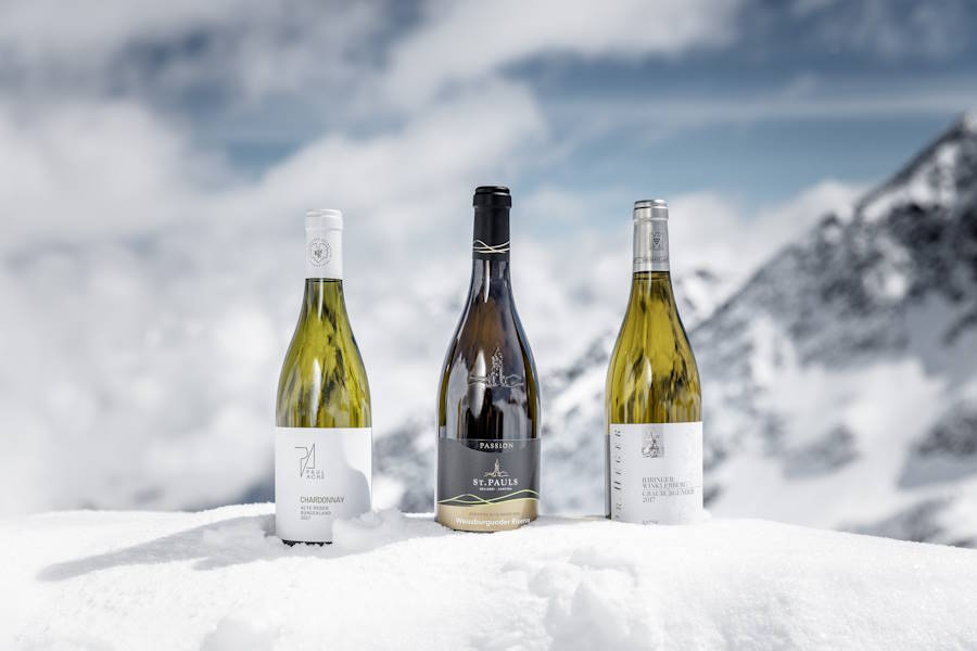 Wein am Berg