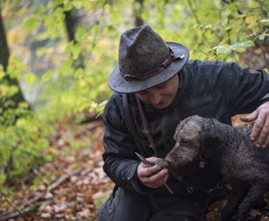 Simon Schauer, Trüffelbaron widmet sich seit über 12 Jahren der Welt der Trüffel.
