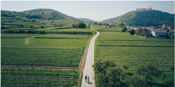 Genusszeit in Niederösterreich