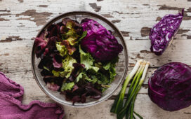 Saisional durch den März und April