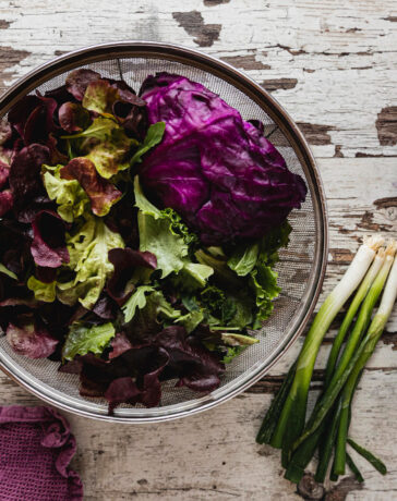 Saisional durch den März und April