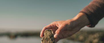 Signe Bogh Tonnesen - Austernsafari