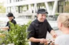 CATERING 50hertz